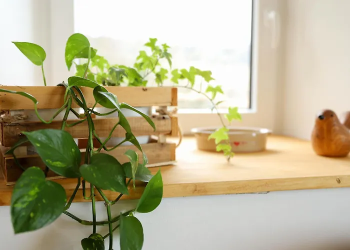Duplex Vue Sur Les Montagnes - Orbey