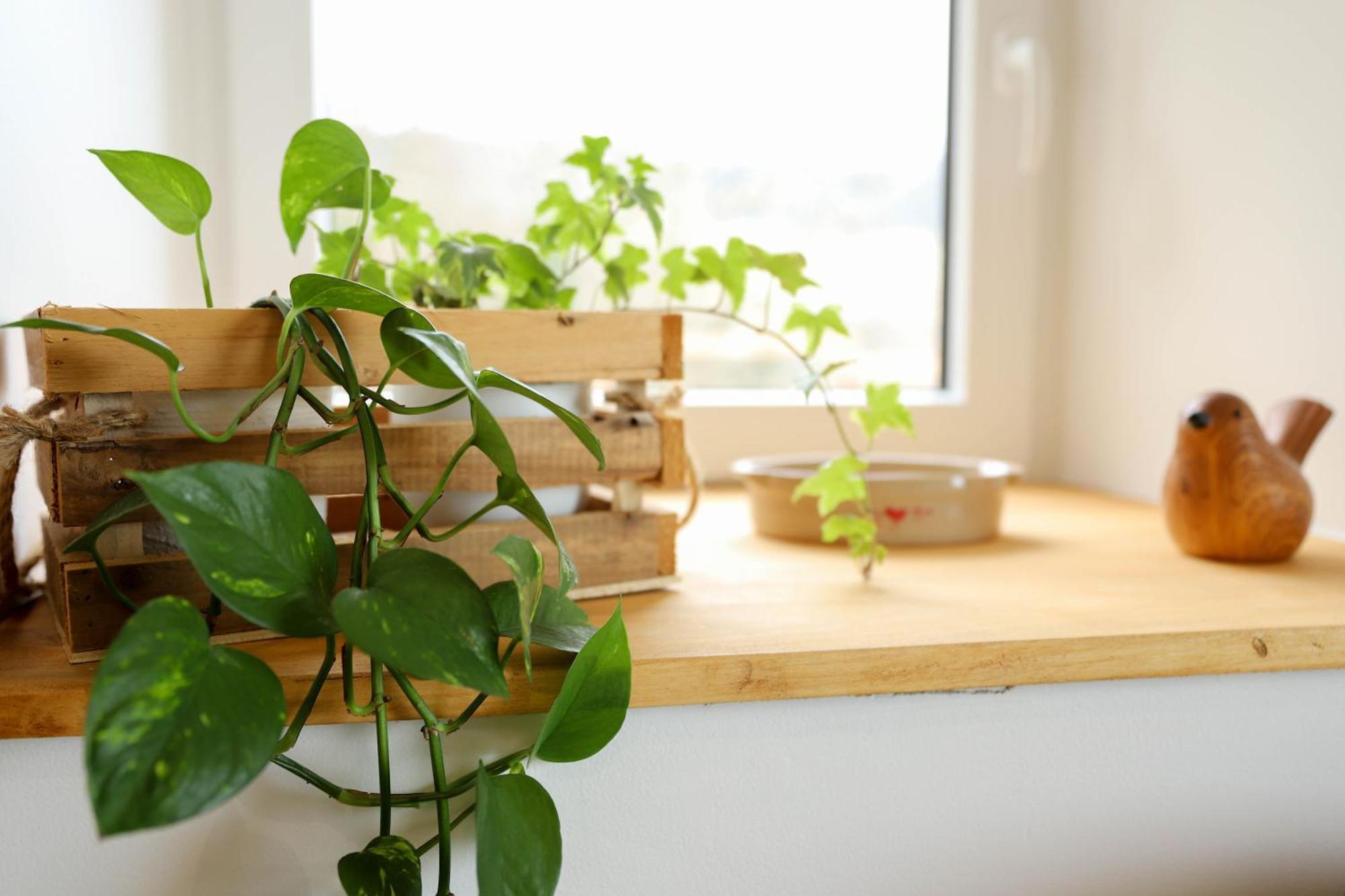 Apartment Duplex Vue Sur Les Montagnes - *